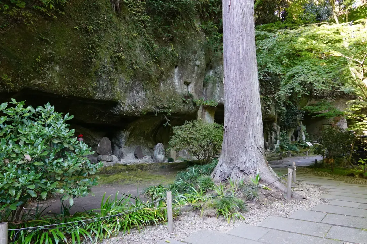 Rock-cut niches and a tall cedar beside a stone path at Entsuin