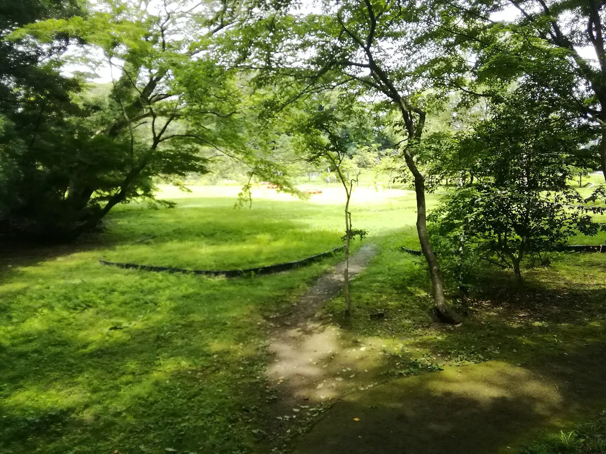 The open lawn on Fukuurajima island, part of a Matsushima private tour on foot