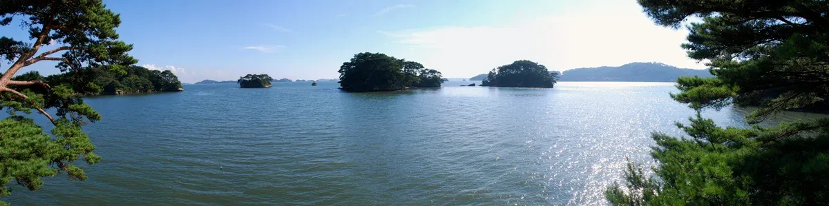 Small pine-topped islands on calm water framed by pine branches